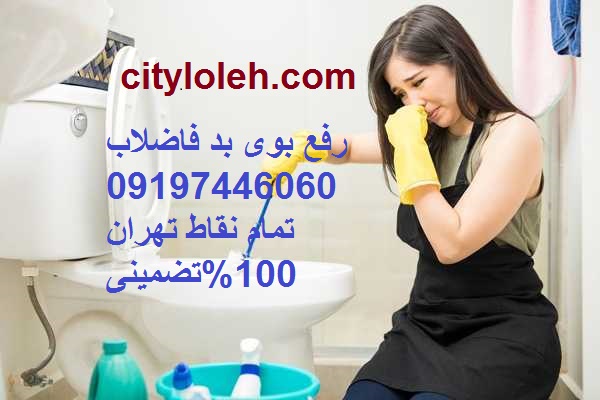 لوله بازکنی گلشن دوست